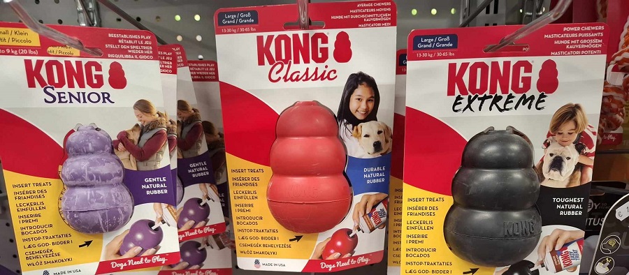 Kong pour chiens