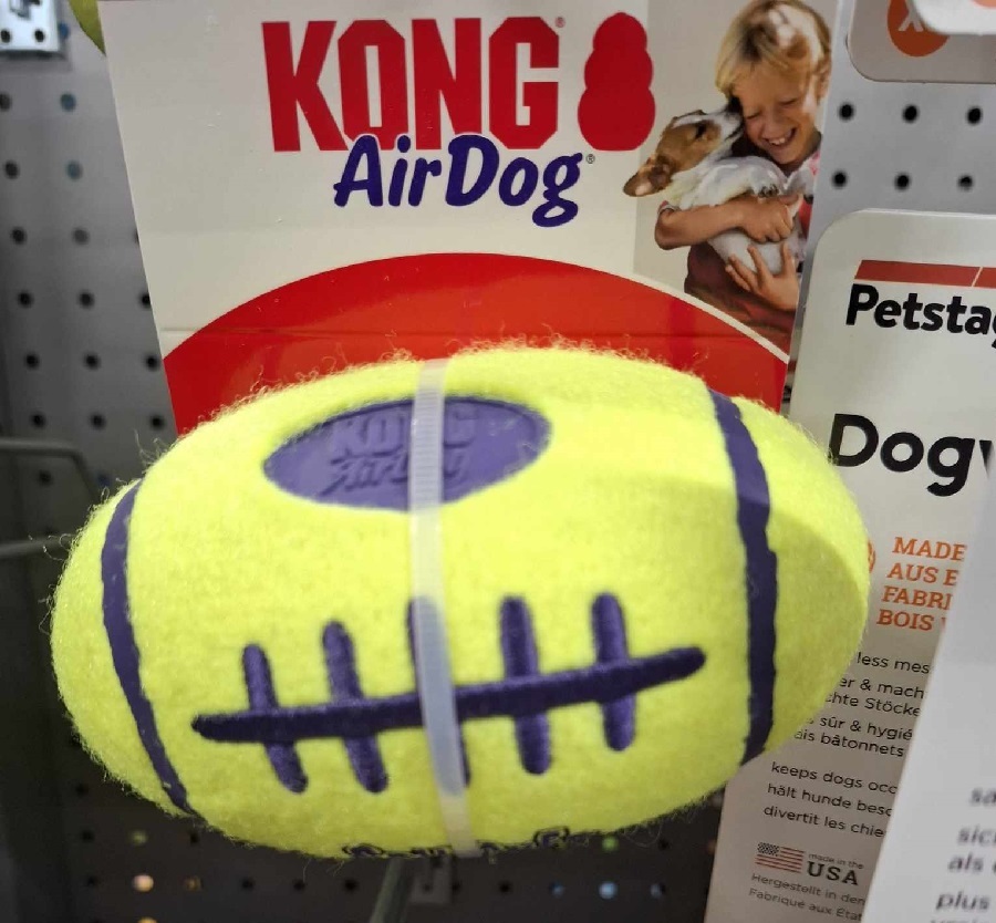 Kong pour chiens