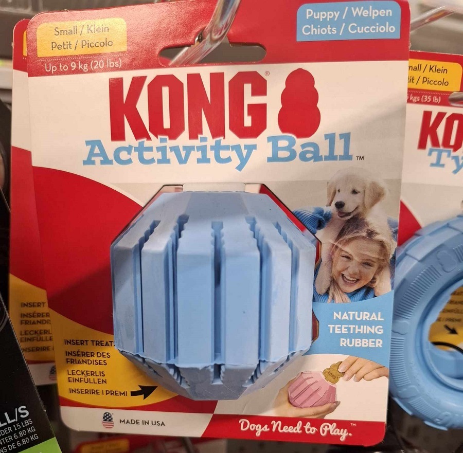 Kong pour chiens