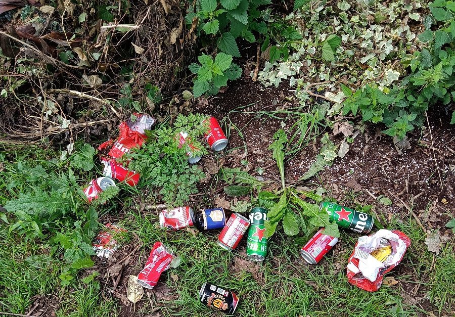 Déchets et canettes dans les bois