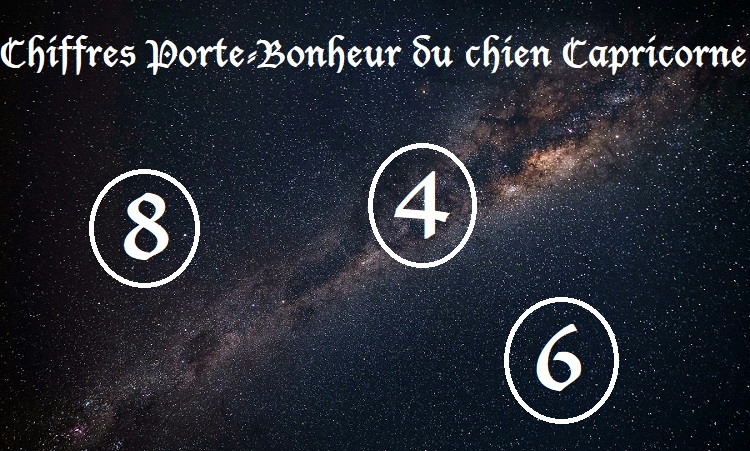 Chiffres Porte-Bonheur Chiens signe astrologique :  Capricorne