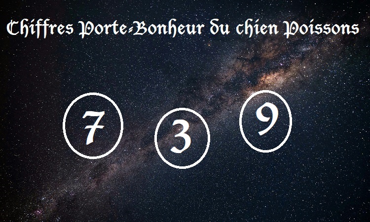 Chiffres Porte-Bonheur Chiens signe astrologique :  Poissons