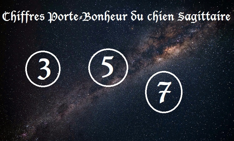 Chiffres Porte-Bonheur Chiens signe astrologique :  Sagittaire