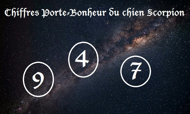 Chiffres Porte-Bonheur Chiens signe astrologique :  Scorpion