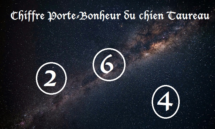 Chiffres Porte-Bonheur Chiens signe astrologique :  Taureau