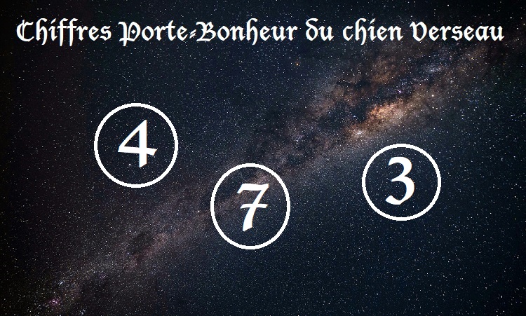 Chiffres Porte-Bonheur Chiens signe astrologique :  Verseau