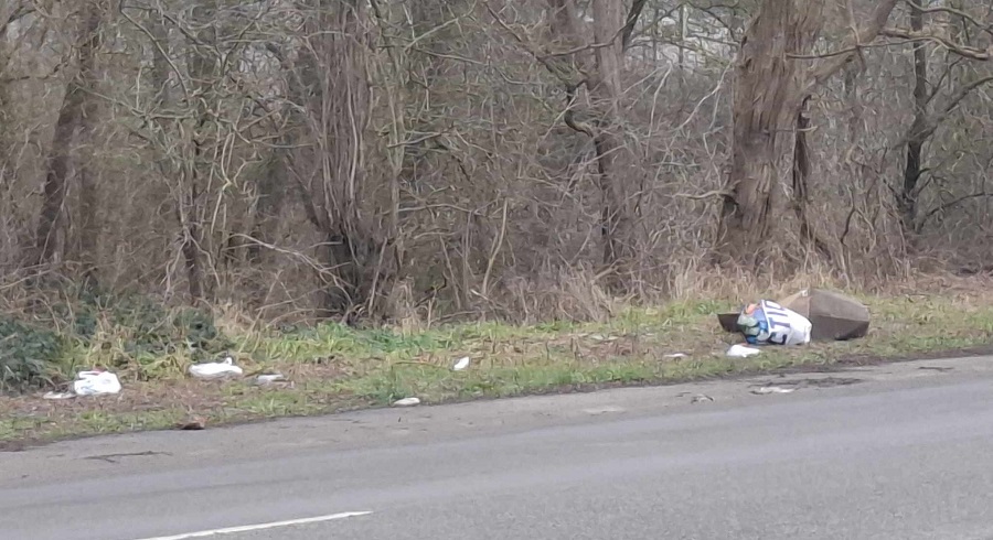 Déchet : Ordures abandonnées au bord de la route