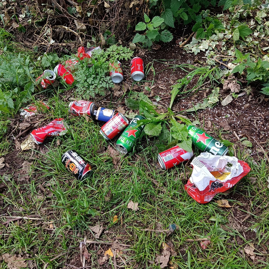 Déchet : Canettes abandonnées dans un bois