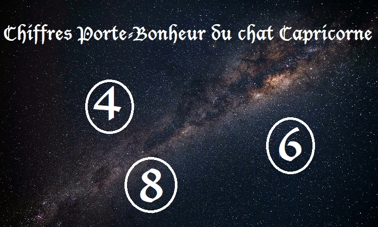 Chiffres Porte-Bonheur Chats signe astrologique :  Capricorne