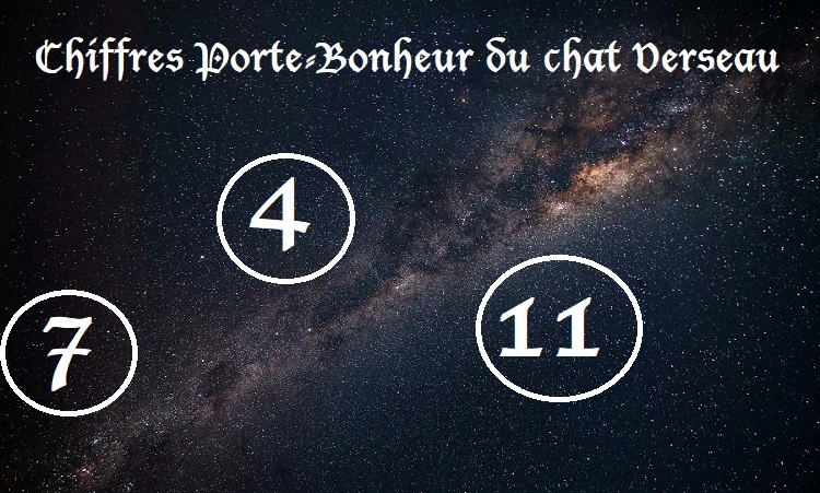 Chiffres Porte-Bonheur Chats signe astrologique : Verseau