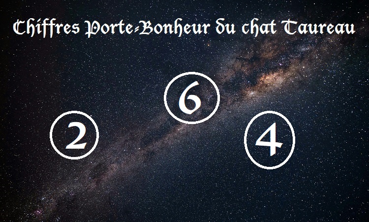 Chiffres Porte-Bonheur Chats signe astrologique :  Taureau