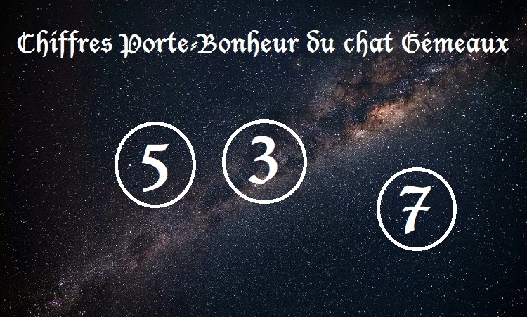 Chiffres Porte-Bonheur Chats signe astrologique :  Gémeaux