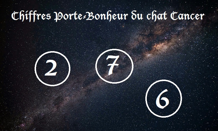 Chiffres Porte-Bonheur Chats signe astrologique :  Cancer