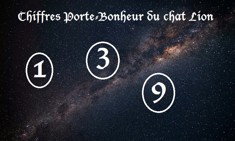 Chiffres Porte-Bonheur Chats signe astrologique :  Lion