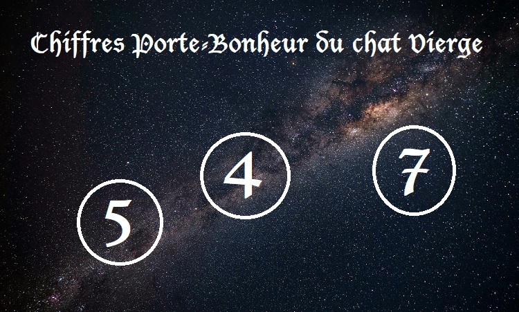 Chiffres Porte-Bonheur Chats signe astrologique :  Vierge