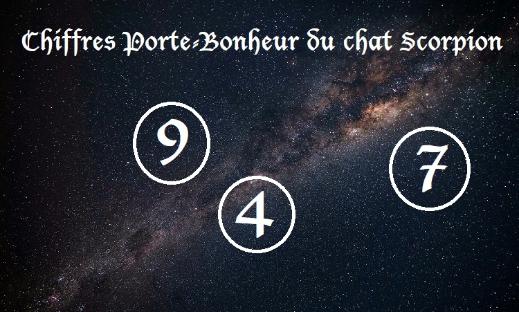 Chiffres Porte-Bonheur Chats signe astrologique :  Scorpion