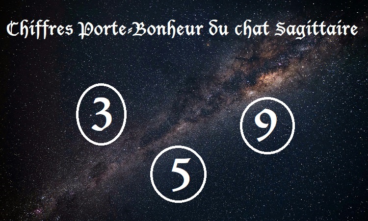 Chiffres Porte-Bonheur Chats signe astrologique :  Sagittaire