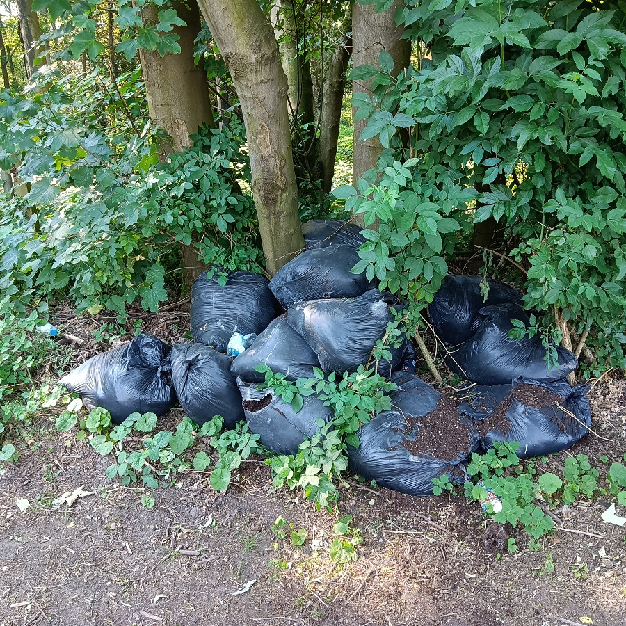 Déchets dans la nature