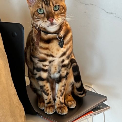 Disparu à Embourg Disparu à Embourg