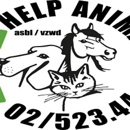 Help Animals Refuge Pour Animaux Animalweb