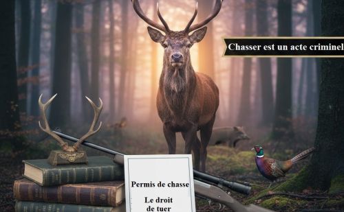 Cerf majestueux dans une forêt avec comme intitulé : Chasser est un ac Cerf majestueux dans une forêt avec comme intitulé : Chasser est un ac