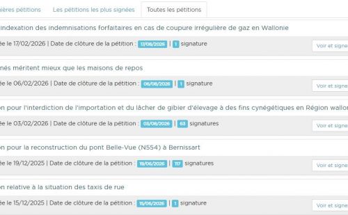 Capture d'écran du site du Parlement wallon affichant la liste des pét Capture d'écran du site du Parlement wallon affichant la liste des pét