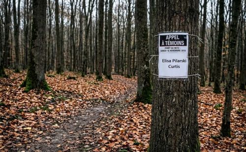 Affiche d'appel à témoins concernant l'affaire Elisa Pilarski et le ch Affiche d'appel à témoins concernant l'affaire Elisa Pilarski et le ch