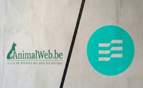 AnimalWeb vs Les Engagés : critique de l'inaction sur la chasse en Wal AnimalWeb vs Les Engagés : critique de l'inaction sur la chasse en Wal