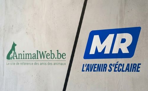 AnimalWeb vs MR : trahison des promesses sur la chasse en Wallonie. AnimalWeb vs MR : trahison des promesses sur la chasse en Wallonie.