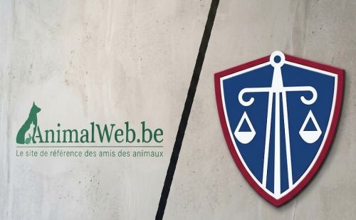 AnimalWeb Belgique et la justice AnimalWeb Belgique et la justice