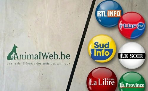 AnimalWeb Belgique et les médias AnimalWeb Belgique et les médias