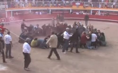 90 militants anti-corrida manifestent dans une arène 90 militants anti-corrida manifestent dans une arène