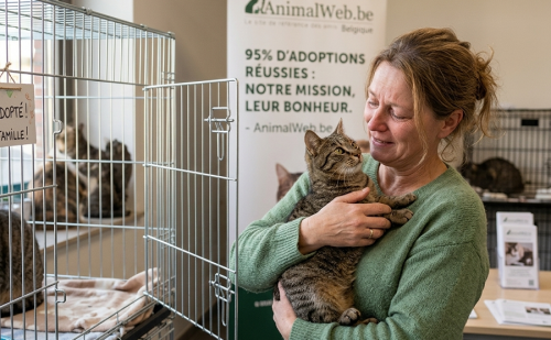 AnimalWeb Belgique- Le site de référence des amis des animaux AnimalWeb Belgique- Le site de référence des amis des animaux